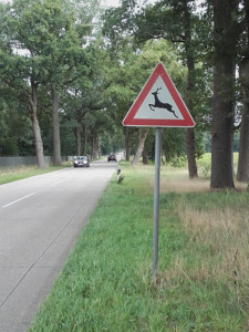 Das Verkehrsschild Wildwechsel soll zur Wildunfallvermeidung beitragen - runter vom Gas.